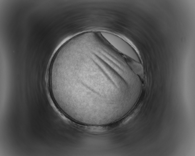 X0000082961007200703020208