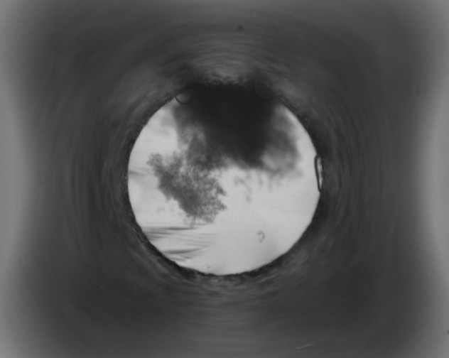 X0000082961009200703020207