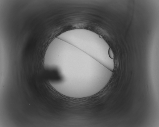 X0000082961012200703020207