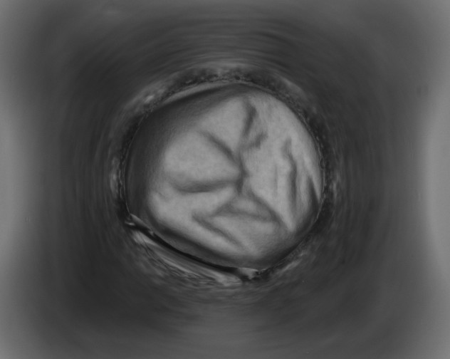 X0000082961014200703020207