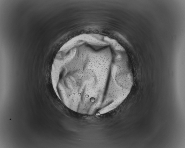 X0000082961015200703020207