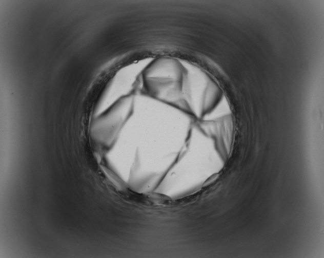 X0000082961016200703020207