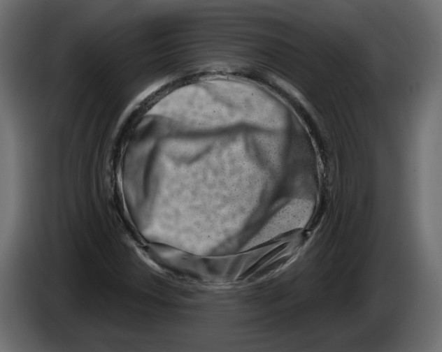 X0000082961018200703020208