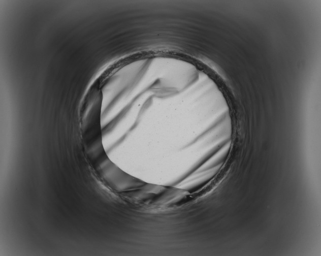 X0000082961022200703020208