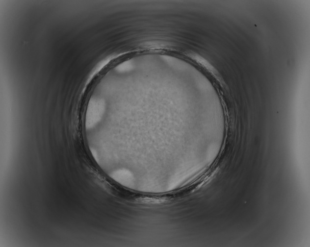 X0000082961023200703020208