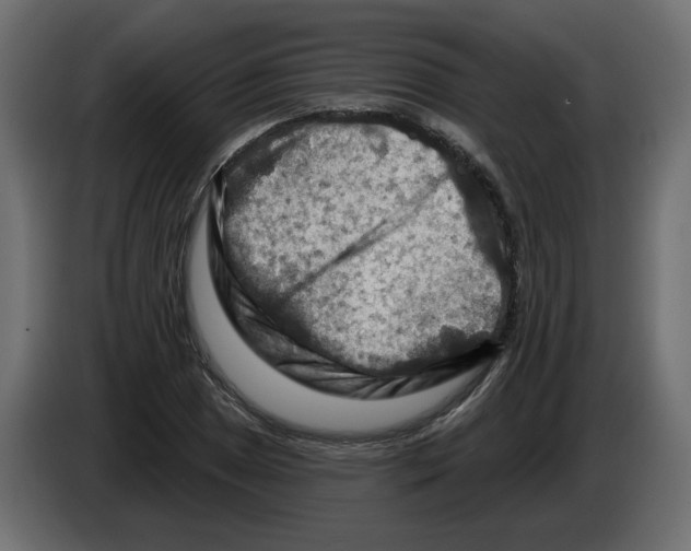 X0000082961025200703020208