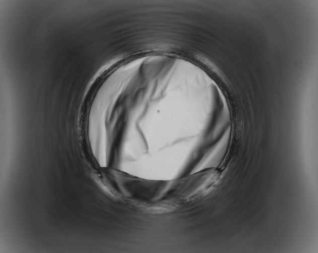 X0000082961026200703020208