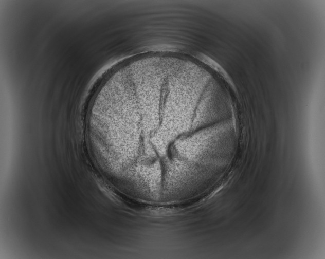 X0000082961027200703020208