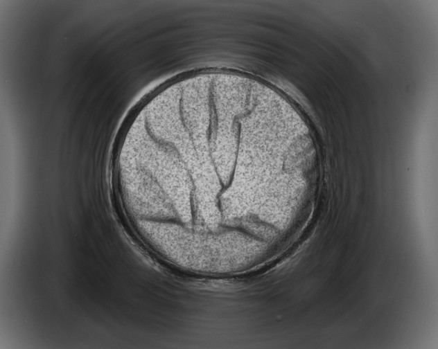 X0000082961028200703020208