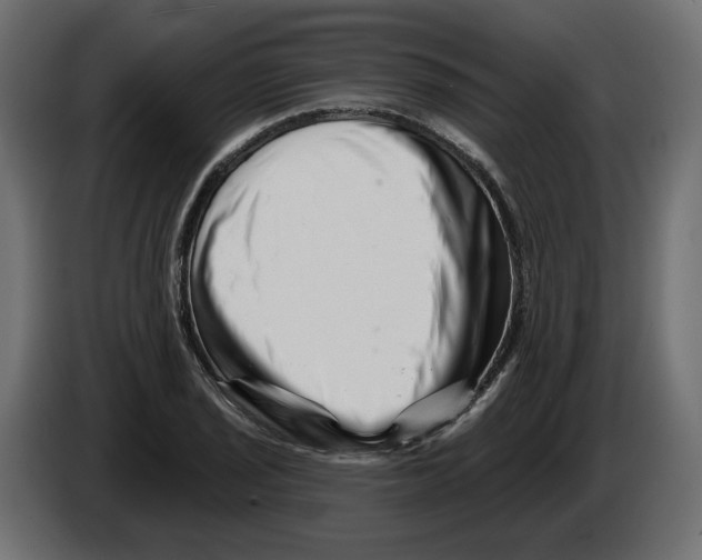 X0000082961029200703020208