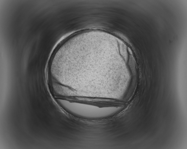 X0000082961032200703020208