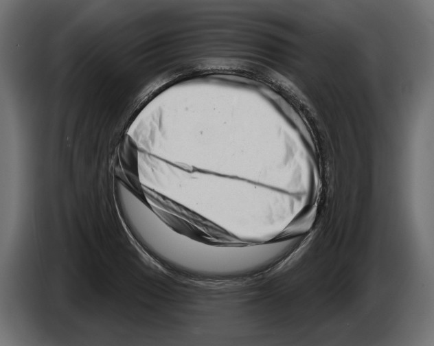 X0000082961033200703020208