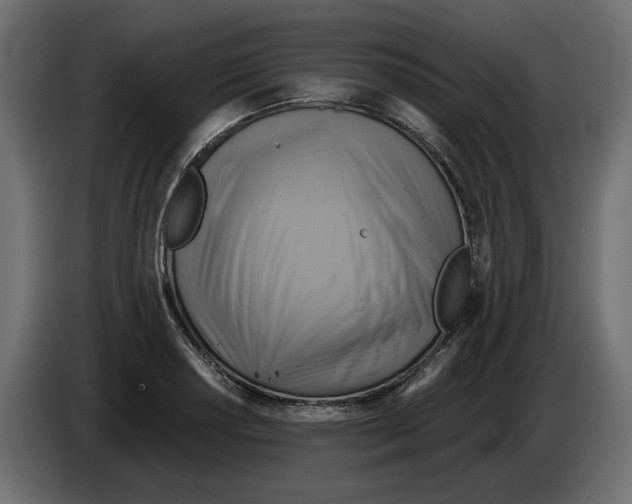 X0000082961034200703020208