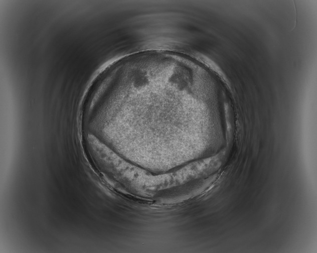 X0000082961035200703020208