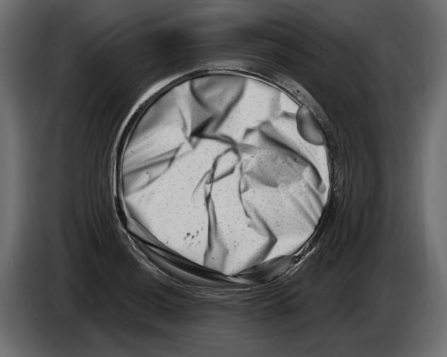 X0000082961036200703020208