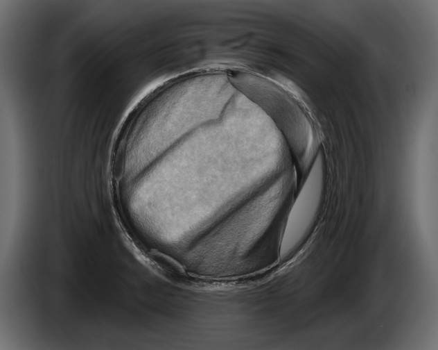 X0000082961038200703020208