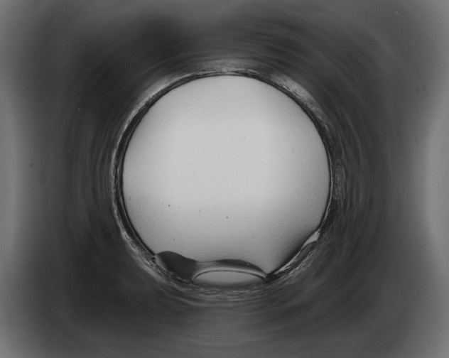 X0000082961039200703020208