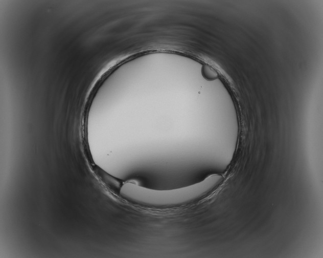 X0000082961040200703020208