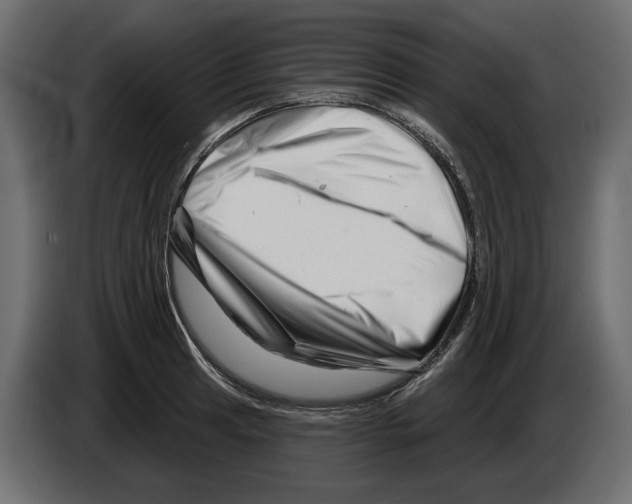 X0000082961041200703020208