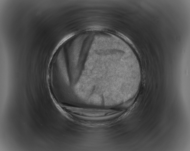 X0000082961042200703020208