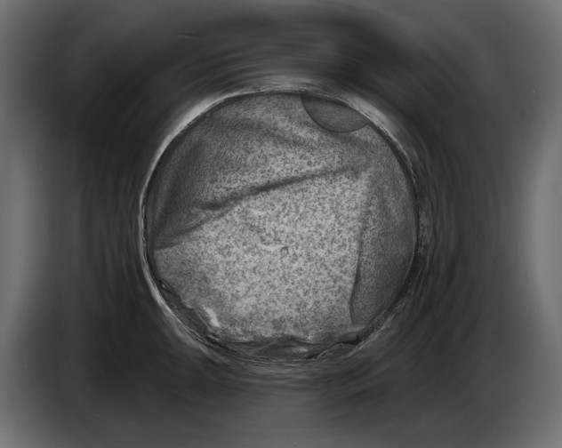 X0000082961047200703020208