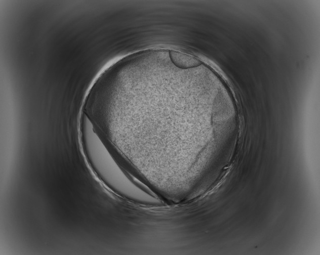 X0000082961048200703020208