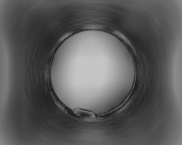 X0000082961049200703020208