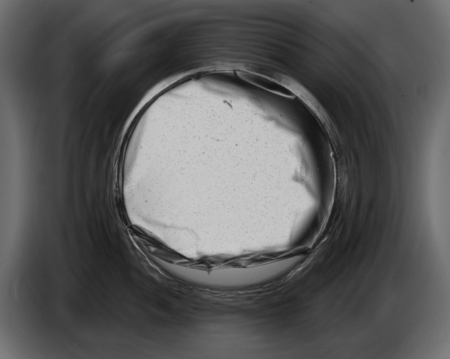 X0000082961052200703020208