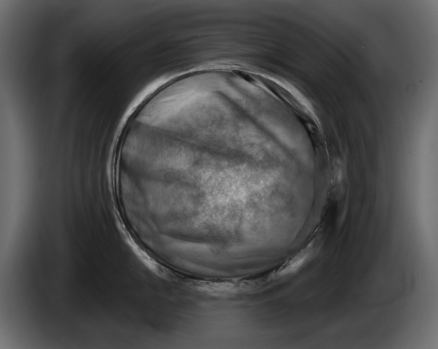 X0000082961054200703020208