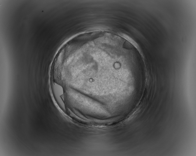 X0000082961055200703020208