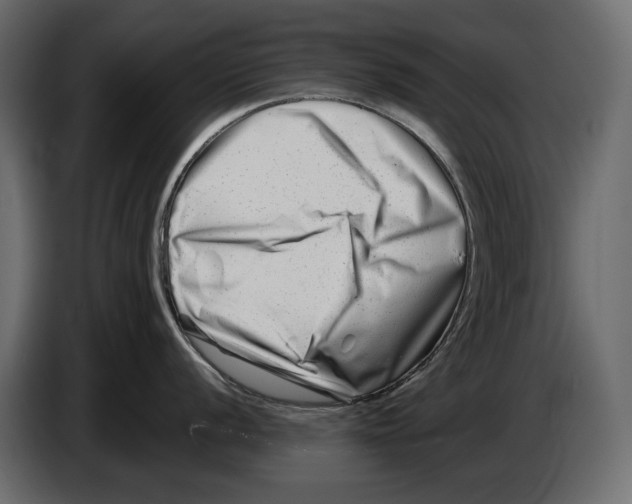 X0000082961056200703020208