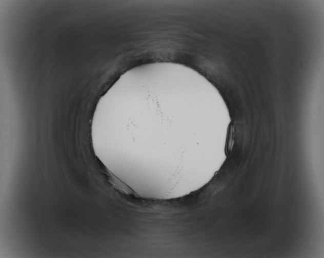 X0000082961057200703020207