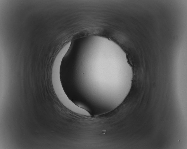 X0000082961058200703020207