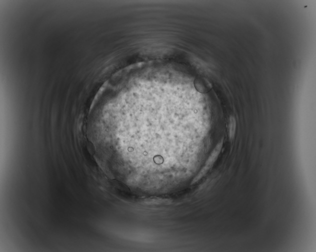 X0000082961059200703020207