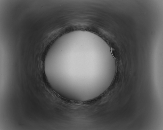 X0000082961061200703020207