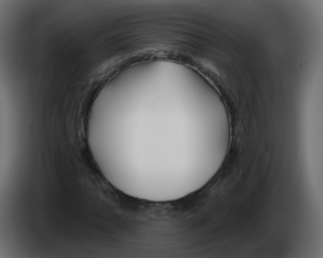 X0000082961062200703020207