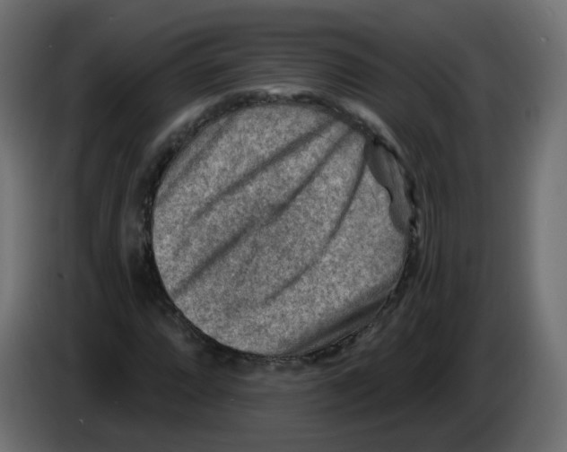 X0000082961064200703020207