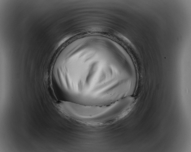 X0000082961065200703020207