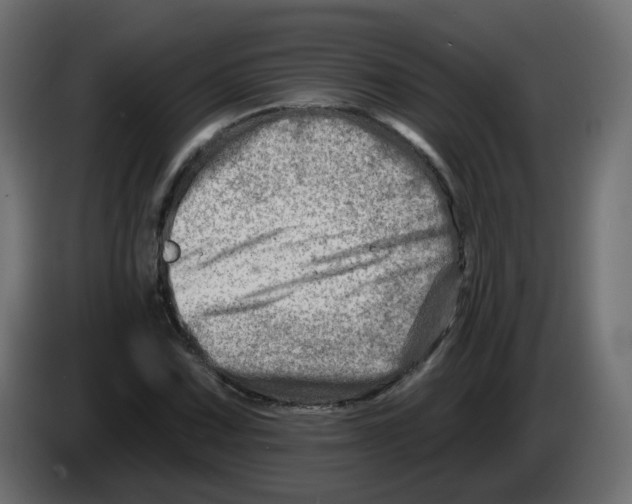 X0000082961067200703020207