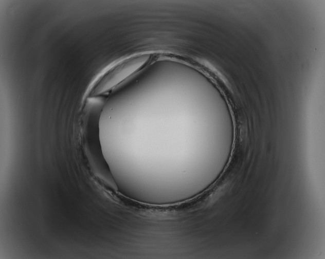 X0000082961069200703020207