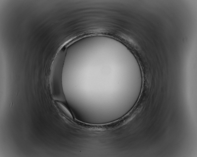 X0000082961073200703020207