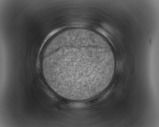 X0000082961074200703020207