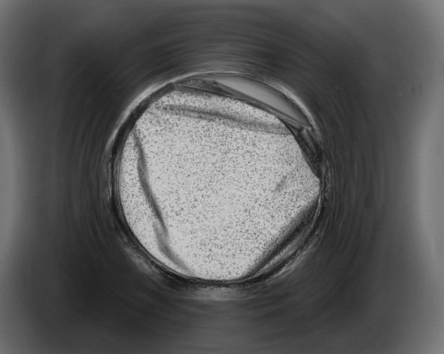 X0000082961075200703020207