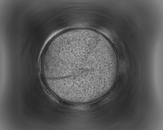 X0000082961078200703020207