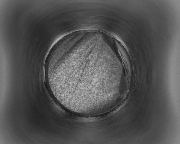 X0000082961079200703020207