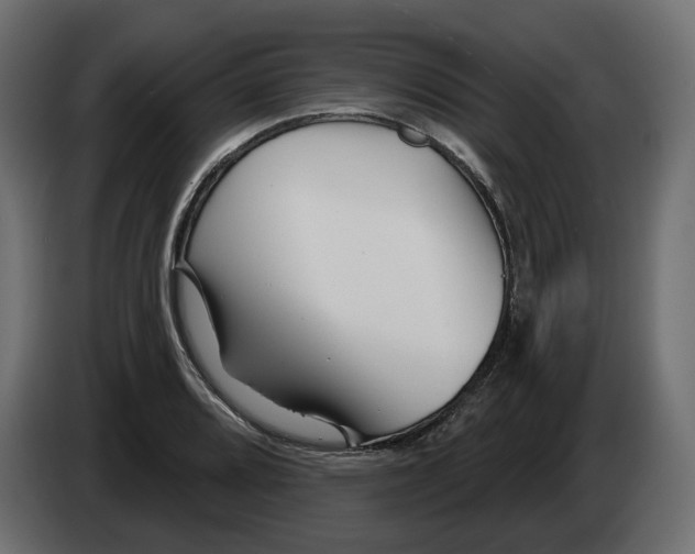 X0000082961080200703020207