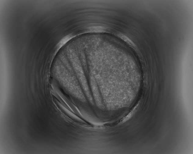 X0000082961081200703020207