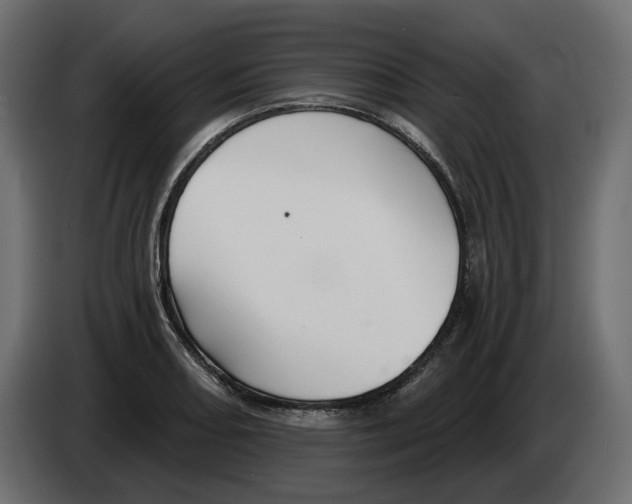 X0000082961082200703020207