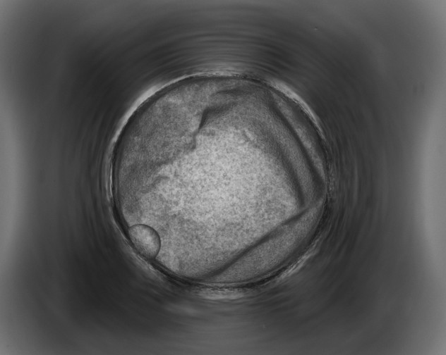 X0000082961083200703020207