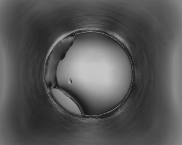 X0000082961085200703020207